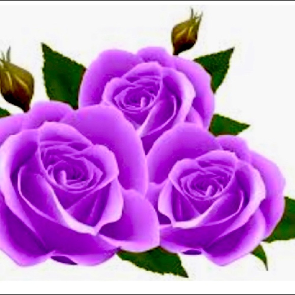 5 % Discount on Bundles of Two or More Items